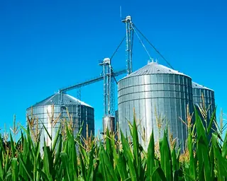 Tinta para silos